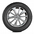 Шина Gislaved SpikeControl 225/55 R17 101T XL